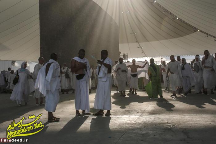 (تصاویر) روز خونین حج؛ فاجعه در &laquo;منا&raquo;