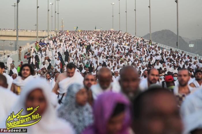 (تصاویر) روز خونین حج؛ فاجعه در &laquo;منا&raquo;