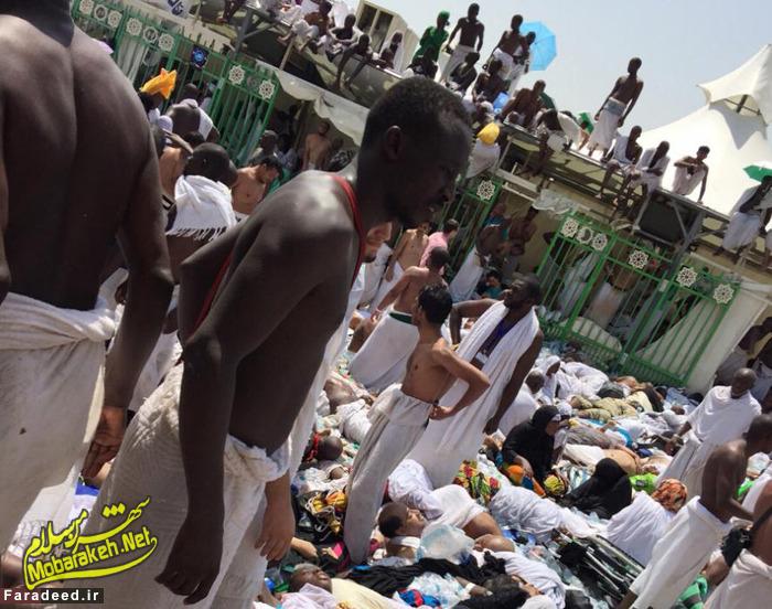 (تصاویر) روز خونین حج؛ فاجعه در &laquo;منا&raquo;